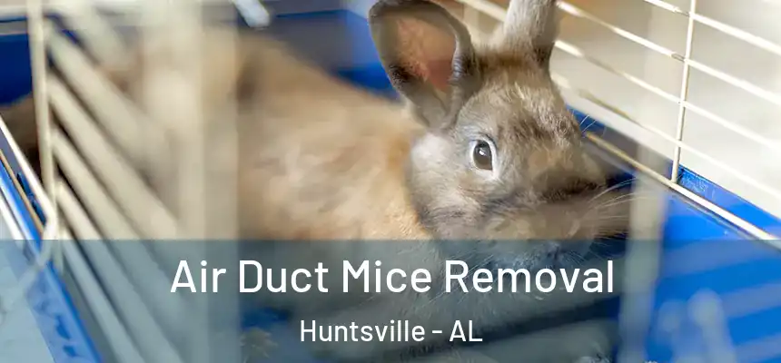 Air Duct Mice Removal Huntsville - AL