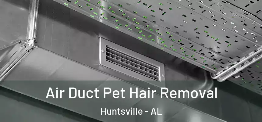 Air Duct Pet Hair Removal Huntsville - AL