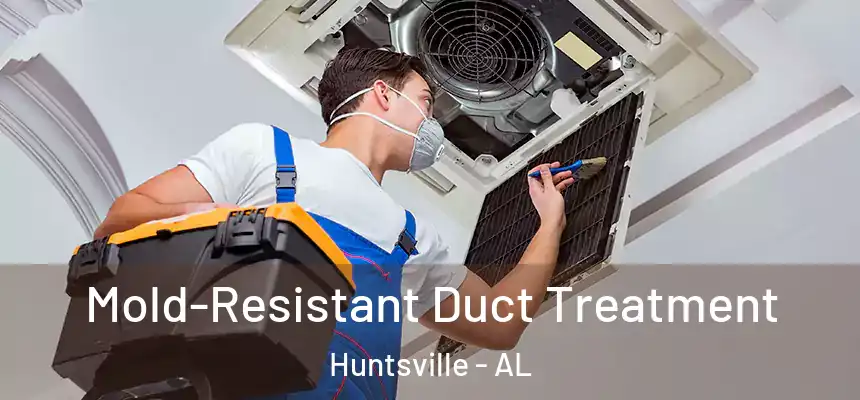  Mold-Resistant Duct Treatment Huntsville - AL