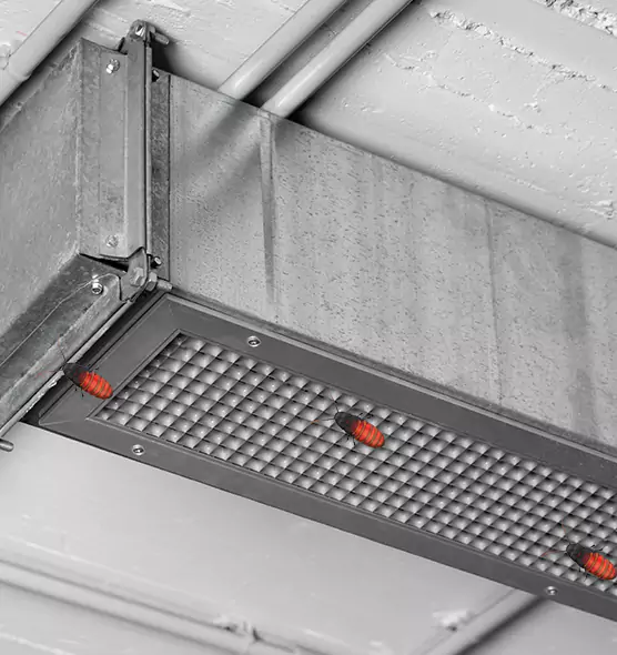 About Air Duct Cockroach Removal in Huntsville, AL