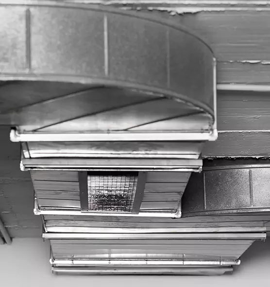 Professional Air Duct Pest Removal in Huntsville, AL