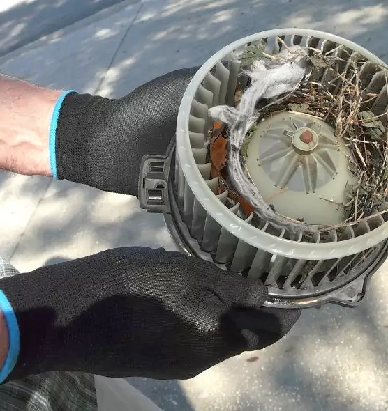 About Air Duct Rat Removal in Huntsville, AL