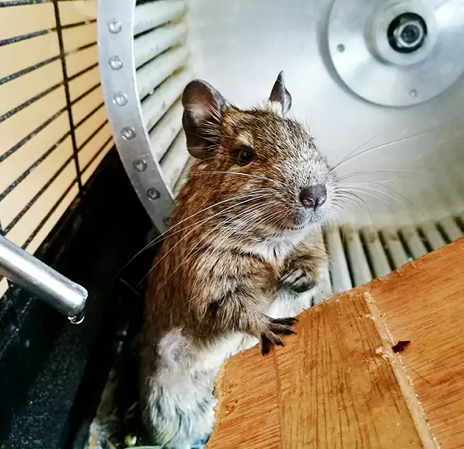 Why Homeowners & Businesses Trust Us Huntsville, AL